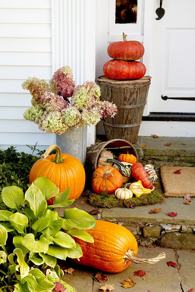 Harvest Vibes by Home Frame Pro: St. Louis Homes' Festive Elegance